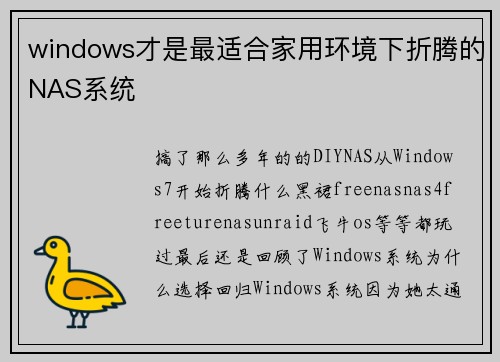 windows才是最适合家用环境下折腾的NAS系统