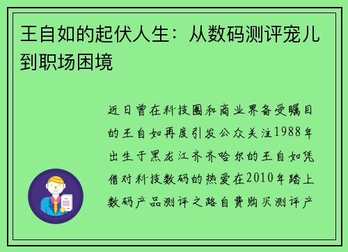 王自如的起伏人生：从数码测评宠儿到职场困境