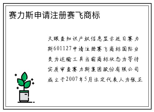 赛力斯申请注册赛飞商标
