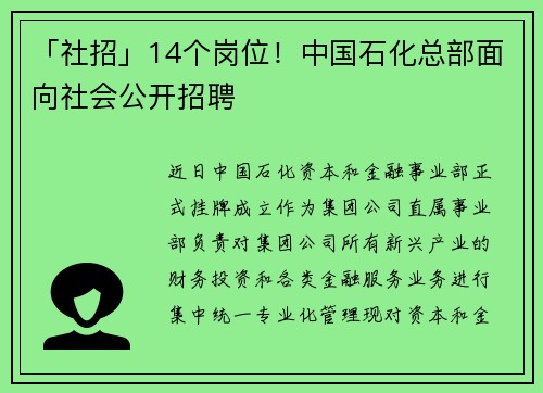 「社招」14个岗位！中国石化总部面向社会公开招聘